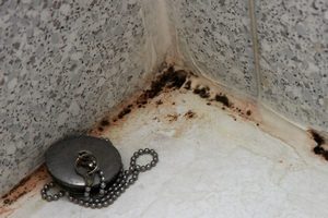 Как вывести грибок в ванной